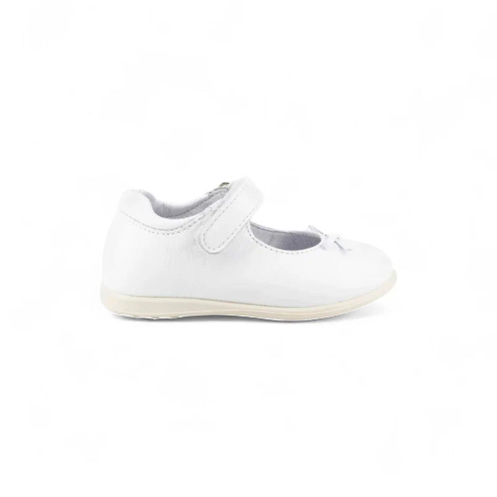 Le Coccinelle Bientina