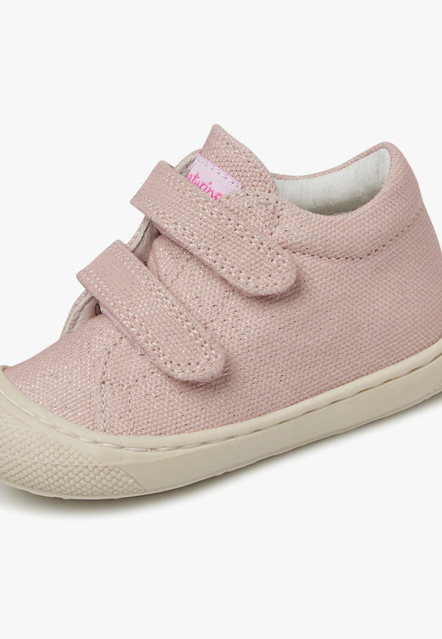 Le Coccinelle Bientina