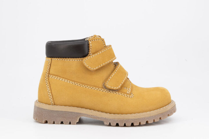 Le Coccinelle Bientina