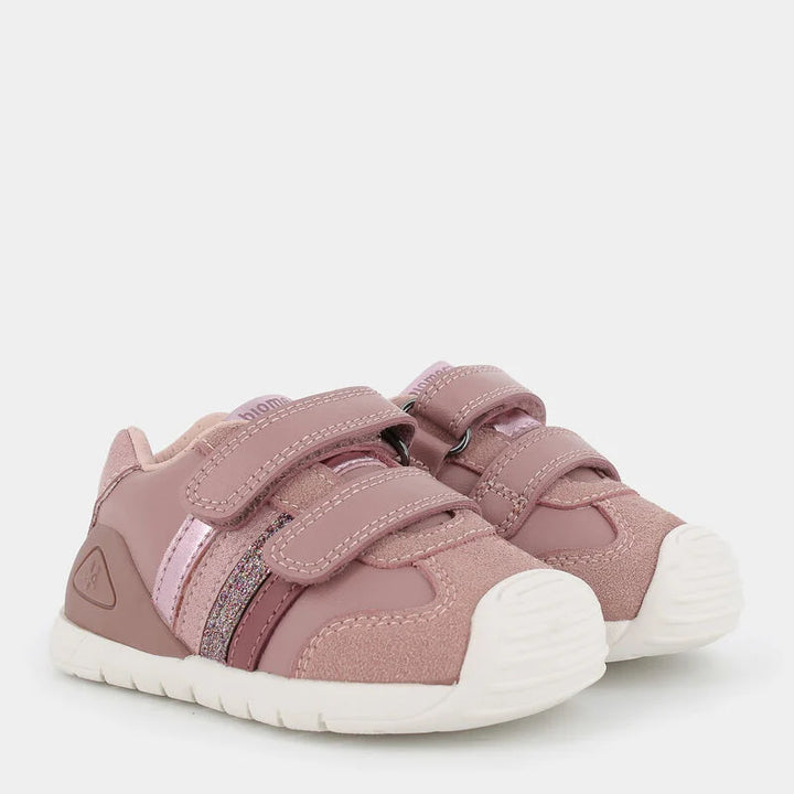 Le Coccinelle Bientina